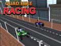 खेल Quad Bike Racing