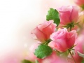 खेल Pink Roses