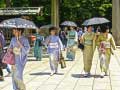 खेल 100 Butterflies in Japan