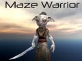 ગેમ Maze Warrior