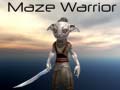 खेल Maze Warrior