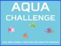 ગેમ Aqua Challenge