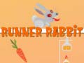 खेल Runner Rabbit