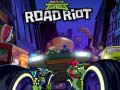 ગેમ Rise of the Teenage Mutant Ninja Turtles Road Riot