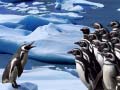 ગેમ Penguins Slide