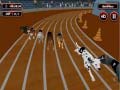 खेल Crazyl Dog Racing Fever