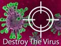 खेल Destroy The Virus