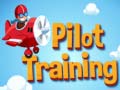 ગેમ Pilot Training