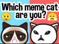 खेल Which Meme Cat Are You?