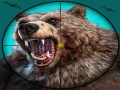 ગેમ Wild Bear Hunting
