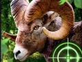 खेल Crazy Goat Hunter 2020