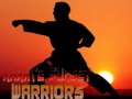 खेल Karate Sunset Warriors