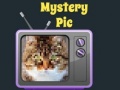 खेल Mystery Pic