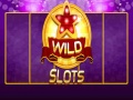 खेल Wild Slot