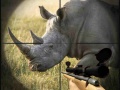 खेल Wild Rhino Hunter