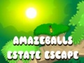 खेल Amazeballs Estate Escape