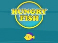 ગેમ Hungry Fish