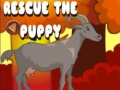 खेल Rescue The Puppy