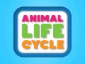 खेल Animal Life Cycle