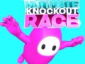 ગેમ Ultimate Knockout Race