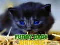 ગેમ Funny Baby Animals