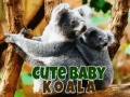 खेल Cute Baby Koala Bear