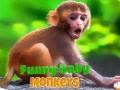 ગેમ Funny Baby Monkey