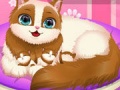 खेल Cute Kitty Pregnant