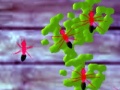 खेल Smash Ants