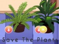 खेल Save the Plants