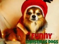 खेल Funny Christmas Dogs