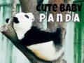 ગેમ Cute Baby Panda
