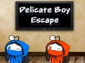 खेल Delicate Boy Escape