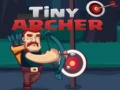 खेल Tiny Archer