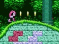 खेल Mighty & Ray In Sonic 2