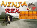 खेल Ninja Rex