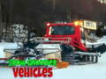ಗೇಮ್ Snow Groomer Vehicles