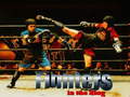 खेल Fighters in the Ring