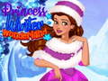 खेल Princess Winter Wonderland