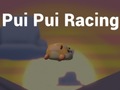 ગેમ Pui Pui Racing