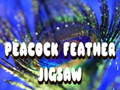 ગેમ Peacock Feather Jigsaw
