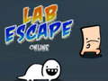 ಗೇಮ್ Lab Escape Online