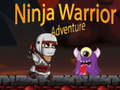 ગેમ Ninja Warrior Adventure