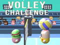 खेल Volley Challenge