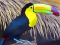 खेल Toucan Bird Jigsaw