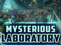 ગેમ Mysterious Laboratory