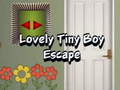 ગેમ Lovely Tiny Boy Escape