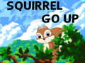 ગેમ Squirrel Go Up