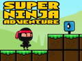 खेल Super Adventure Ninja