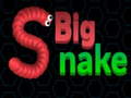 खेल Big Snake